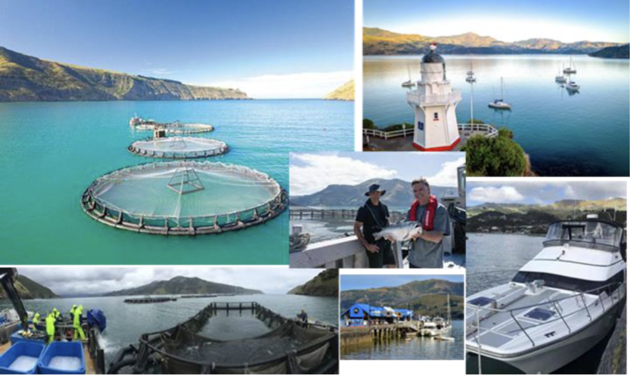 screenshot-2026-02-18-at-5.21.50-pm