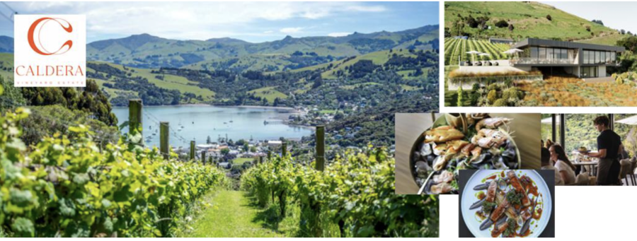 screenshot-2026-02-18-at-5.22.56-pm