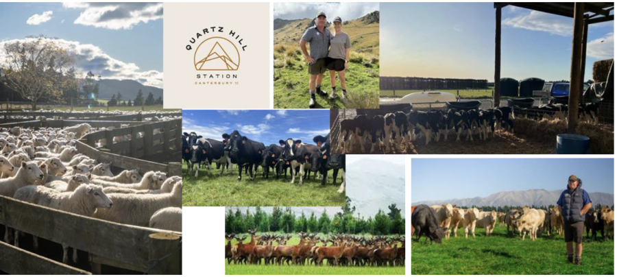 screenshot-2026-02-18-at-5.25.18-pm