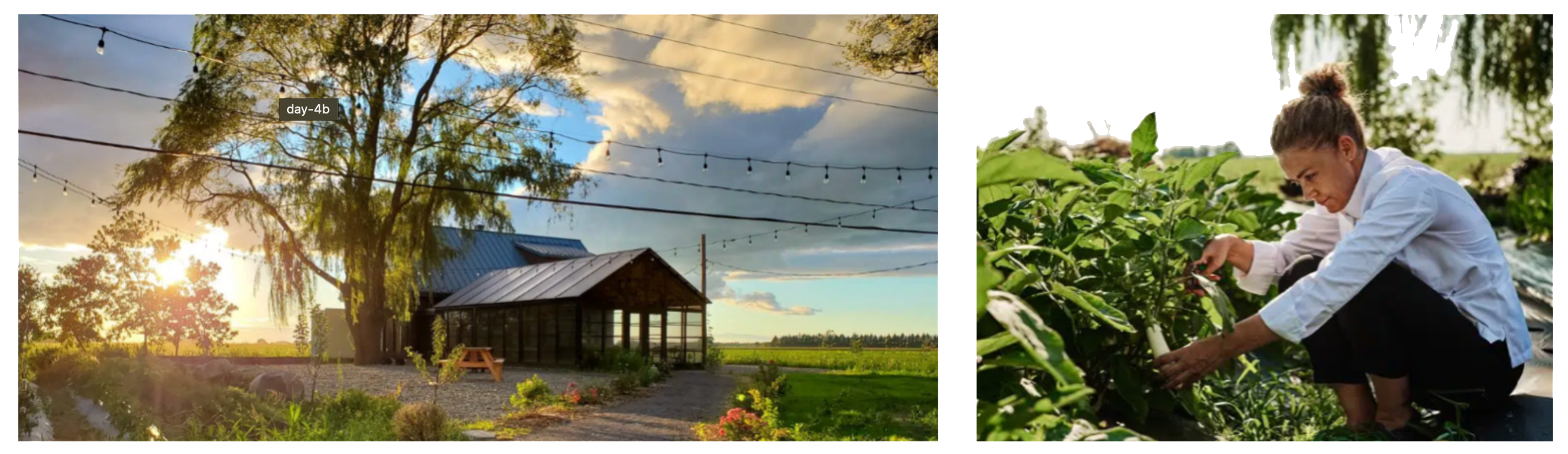 3456ygfd
