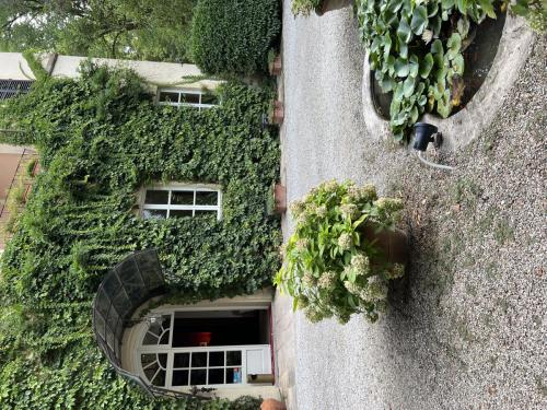 IMG 1658